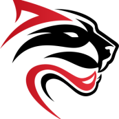 Логотип команды