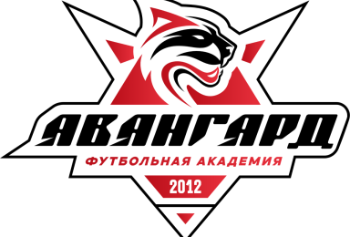 Кубок Академии 2009-2010 г.р.